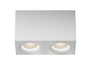 Потолочный светильник Technical C013CL-02W