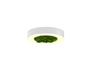 Светильник HOKASU Halo Moss (RAL9003/D425/LT70 — 3K/40W/120deg)