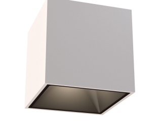 Потолочный светильник Technical C065CL-L12W4K