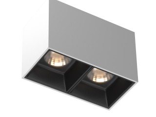Потолочный светильник Technical C065CL-02-L12W3K-W