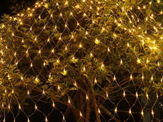 Светодиодная гирлянда ARD-NETLIGHT-CLASSIC-2000x1500-CLEAR-288LED Blue (230V, 18W) (Ardecoled, IP65)