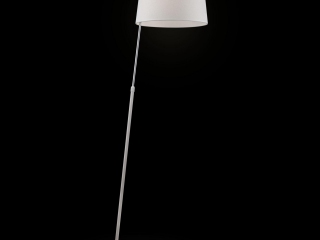 Напольный светильник (торшер) Maytoni MOD613FL-01W