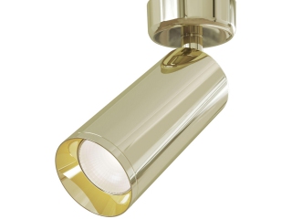 Потолочный светильник Technical C017CW-01G