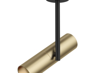 Потолочный светильник Technical C020CL-01GB