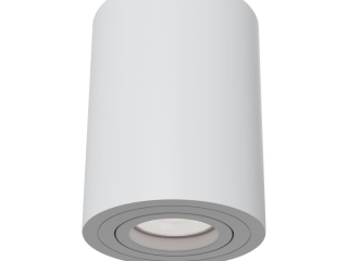 Потолочный светильник Technical C016CL-01W