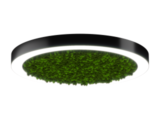Светильник HOKASU Halo Moss (RAL9005/D830/LT70 — 4K/78W/120deg)
