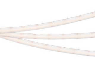 Лента герметичная RTW-SEW-A304-10mm 24V White6000 (25 W/m, IP65, 2835, 5m) (Arlight, 5 лет)