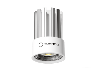 Модуль HOKASU HS45 (RAL9003/60deg — 3K/10W/CRI90)