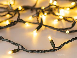 Светодиодная гирлянда ARD-STRING-PRO-1000-GREEN-100LED-PULSE Warm (230V, 7W) (Ardecoled, IP65)