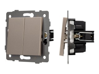 Механизм выключателя двухклавишный непроходной SWT-MK02-PL-GD-V (250V, 10A) (Arlight, -)