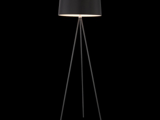 Напольный светильник (торшер) Freya FR5152-FL-01-B