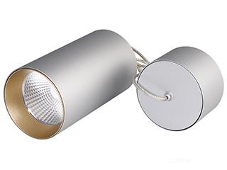 Светильник подвесной SP-POLO-R85-2-15W Day White 40deg (Silver, Gold Ring) (Arlight, IP20 Металл, 3 года)
