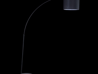 Напольный светильник (торшер) Maytoni Z328-FL-01-B