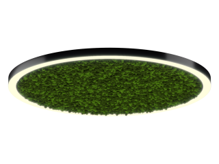 Светильник HOKASU Halo Moss (RAL9005/D1700/LT70 — 3K/160W/120deg)