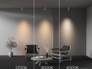 Потолочный светильник Technical C055CL-L20W2.7-3-4K-M-W