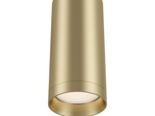 Потолочный светильник Technical C010CL-01MG