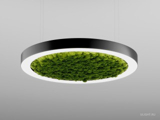 Модульный светильник HOKASU Halo Moss (кольцо со мхом)