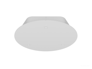 Потолочная чаша 6063 – D300 (RAL9003/3 отверстия)