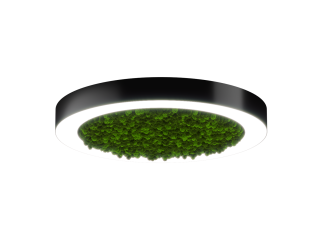 Светильник HOKASU Halo Moss (RAL9005/D625/LT70 — 4K/59W/120deg)