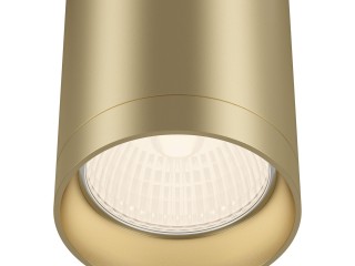 Потолочный светильник Technical C010CL-01MG