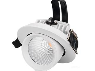 Светильник LTD-EXPLORER-R100-12W Day4000 (WH, 38 deg) (Arlight, IP20 Металл, 3 года)