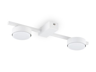 Потолочный светильник Freya FR5363CL-02W