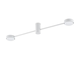 Потолочный светильник Freya FR5363CL-02W1
