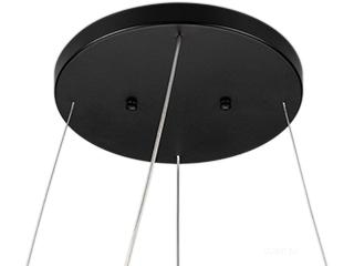 Потолочная чаша SL-CANOPY-D250 (BK) (Arlight, Металл)