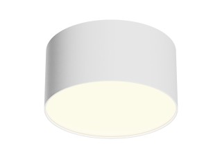 Потолочный светильник Technical C032CL-12W3K-RD-W