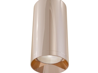 Потолочный светильник Technical C010CL-01RG