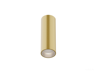 Светильник накладной HOKASU Tube (55-120/gold – 10w/2790/10deg)