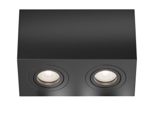 Потолочный светильник Technical C017CL-02B