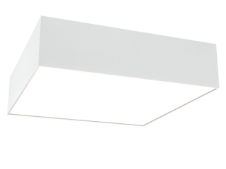 Потолочный светильник Technical C067CL-L27W3K