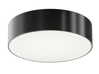 Потолочный светильник Outdoor O431CL-L30B4K