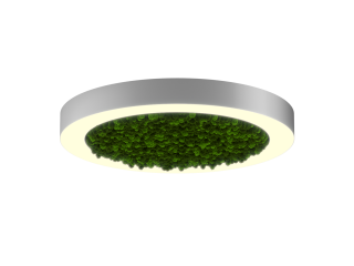 Светильник HOKASU Halo Moss (RAL9003/D625/LT70 — 3K/59W/120deg)