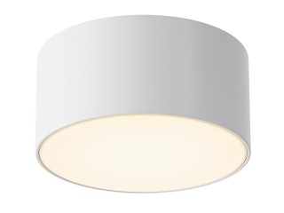 Потолочный светильник Outdoor O430CL-L15W3K