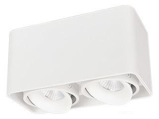 Светильник SP-CUBUS-S195x100-2x8W Day4000 (WH, 45 deg, 230V) (Arlight, IP20 Металл, 3 года)