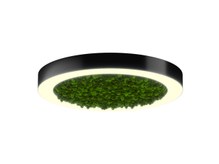 Светильник HOKASU Halo Moss (RAL9005/D625/LT70 — 3K/59W/120deg)