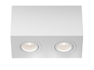 Потолочный светильник Technical C017CL-02W