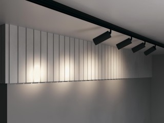 Трековый светильник Technical TR032-2-20W3K-S-B