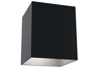 Потолочный светильник Technical C015CL-01B