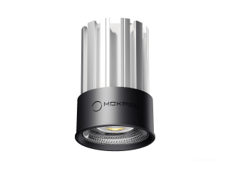 Модуль HOKASU HS45 (RAL9005/60deg — 3K/10W/CRI90)