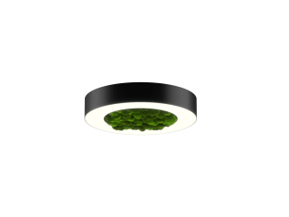 Светильник HOKASU Halo Moss (RAL9005/D425/LT70 — 4K/40W/120deg)