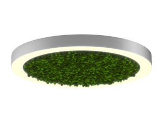 Светильник HOKASU Halo Moss (RAL9003/D830/LT70 — 3K/78W/120deg)