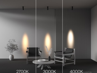 Потолочный светильник Technical C055CL-L12W4K-SS-B