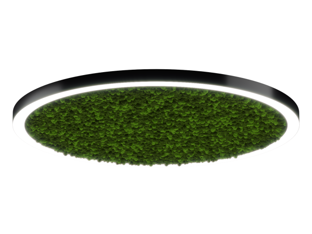 Светильник HOKASU Halo Moss (RAL9005/D1550/LT70 — 4K/146W/120deg) фото:1