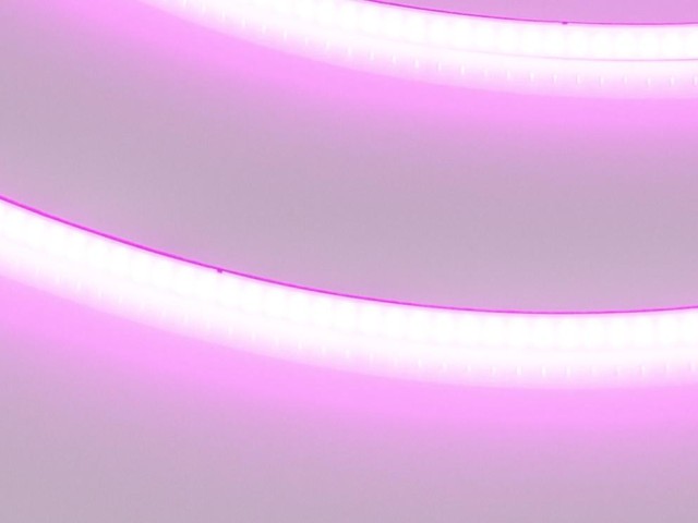 Лента COB-X480-4mm 24V Magenta (4 W/m, IP20, 5m) (Arlight, -) фото:1