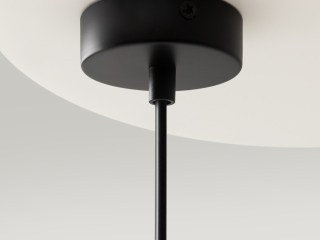 Подвесной светильник Maytoni MOD013PL-06B фото:12