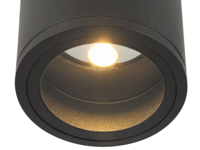 Потолочный светильник Outdoor O306CL-L12GF фото:1