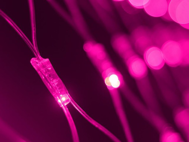 Светодиодная гирлянда ARD-NETLIGHT-CLASSIC-2000x1500-CLEAR-288LED Pink (230V, 18W) (Ardecoled, IP65) фото:5